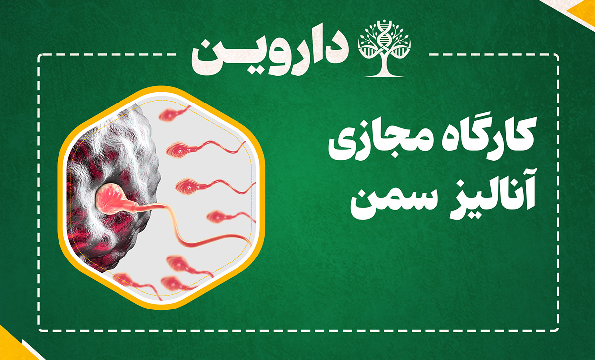آنالیز سمن