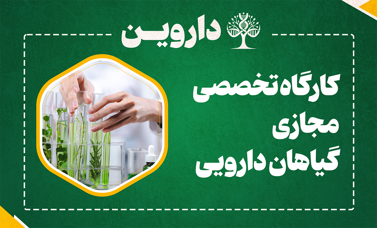 گیاهان دارویی