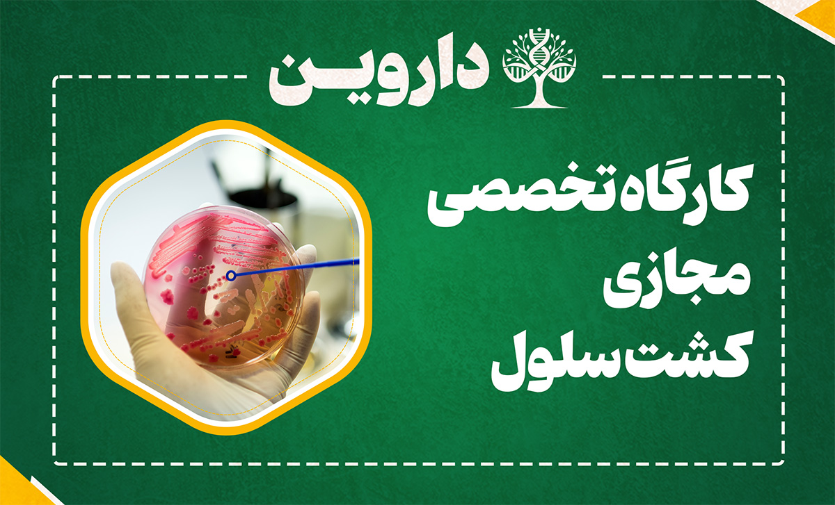 کشت سلول
