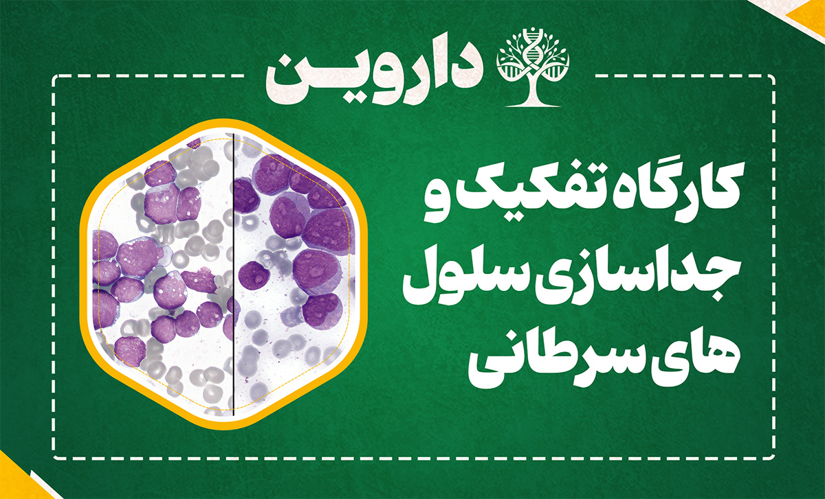 تفکیک و جداسازی سلول های سرطانی