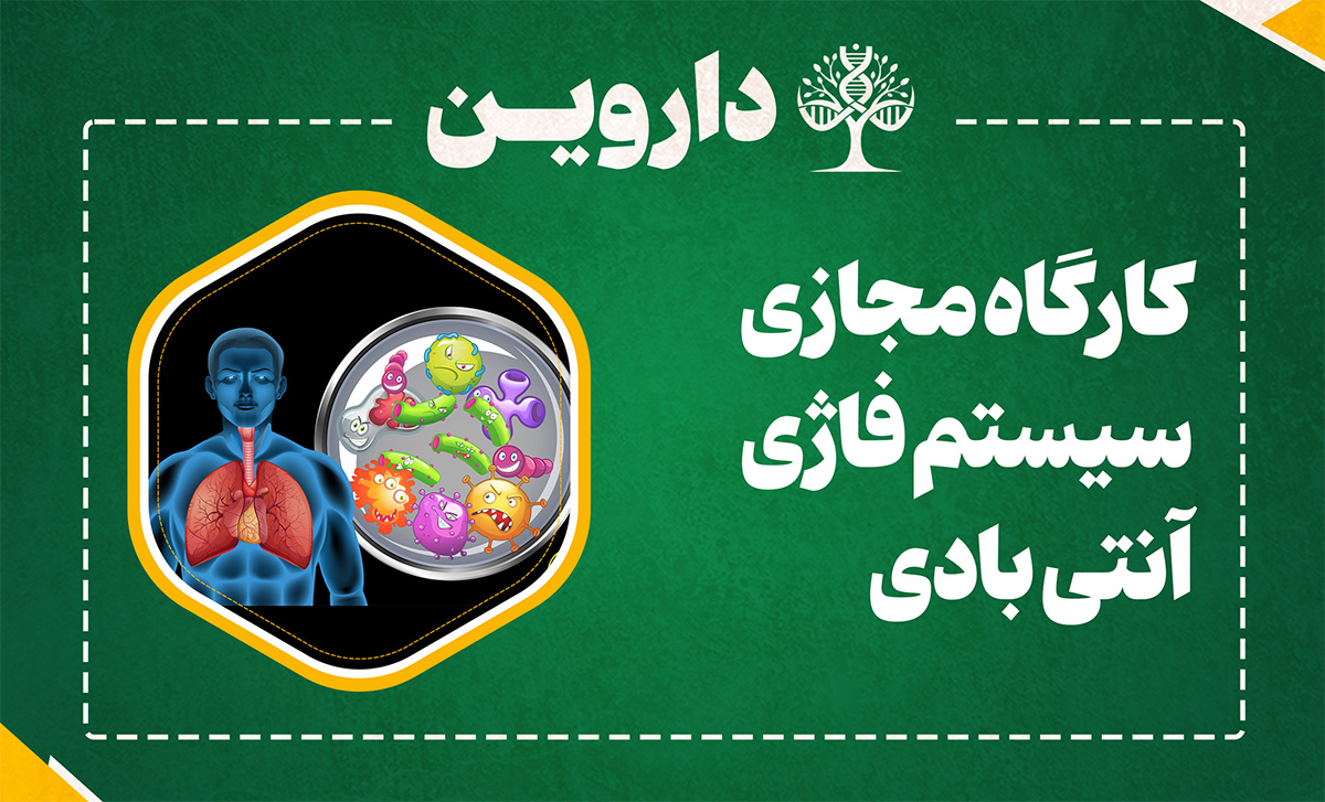 سیستم فاژی 
