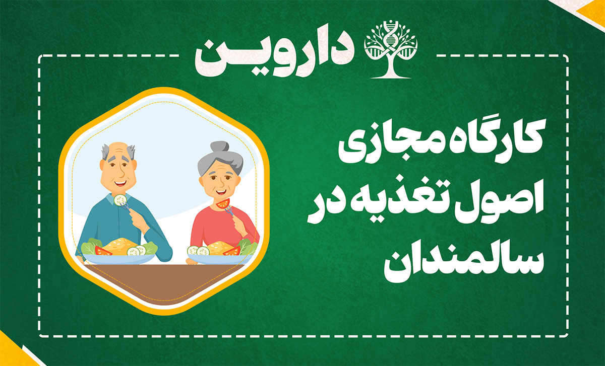 اصول تغذیه در سالمندان