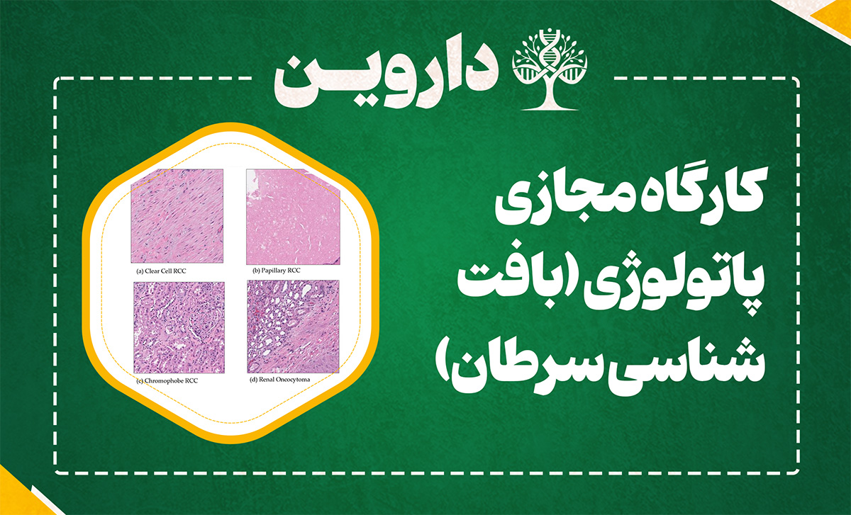 پاتولوژی (بافت شناسی سرطان)