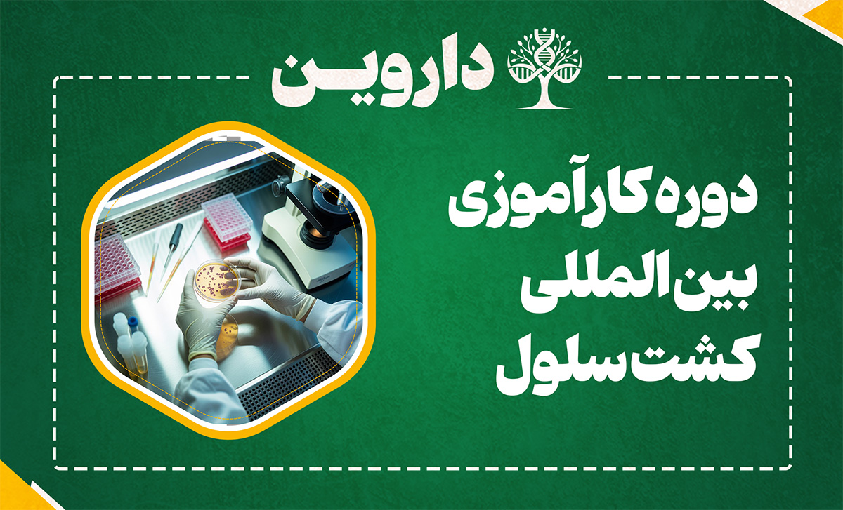 دوره کارآموزی بین المللی کشت سلول 