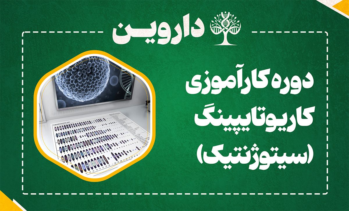 دوره کارآموزی بین المللی کاریوتایپینگ (سیتوژنتیک)  