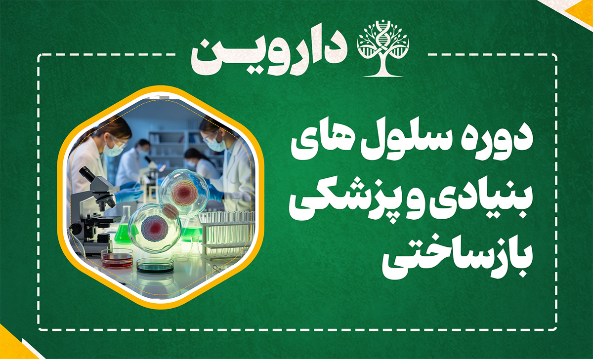 کارآموزی بین المللی سلول های بنیادی و پزشکی بازساختی