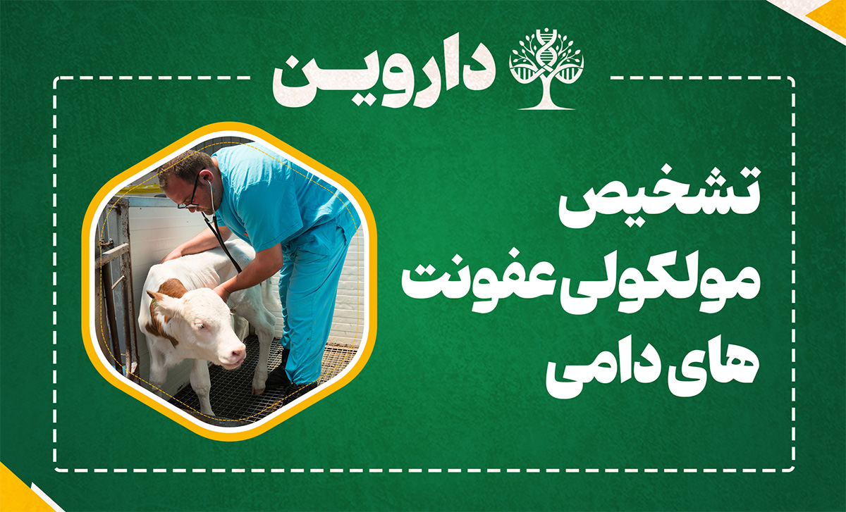 دوره تخصصی تشخیص مولکولی عفونت های دامی