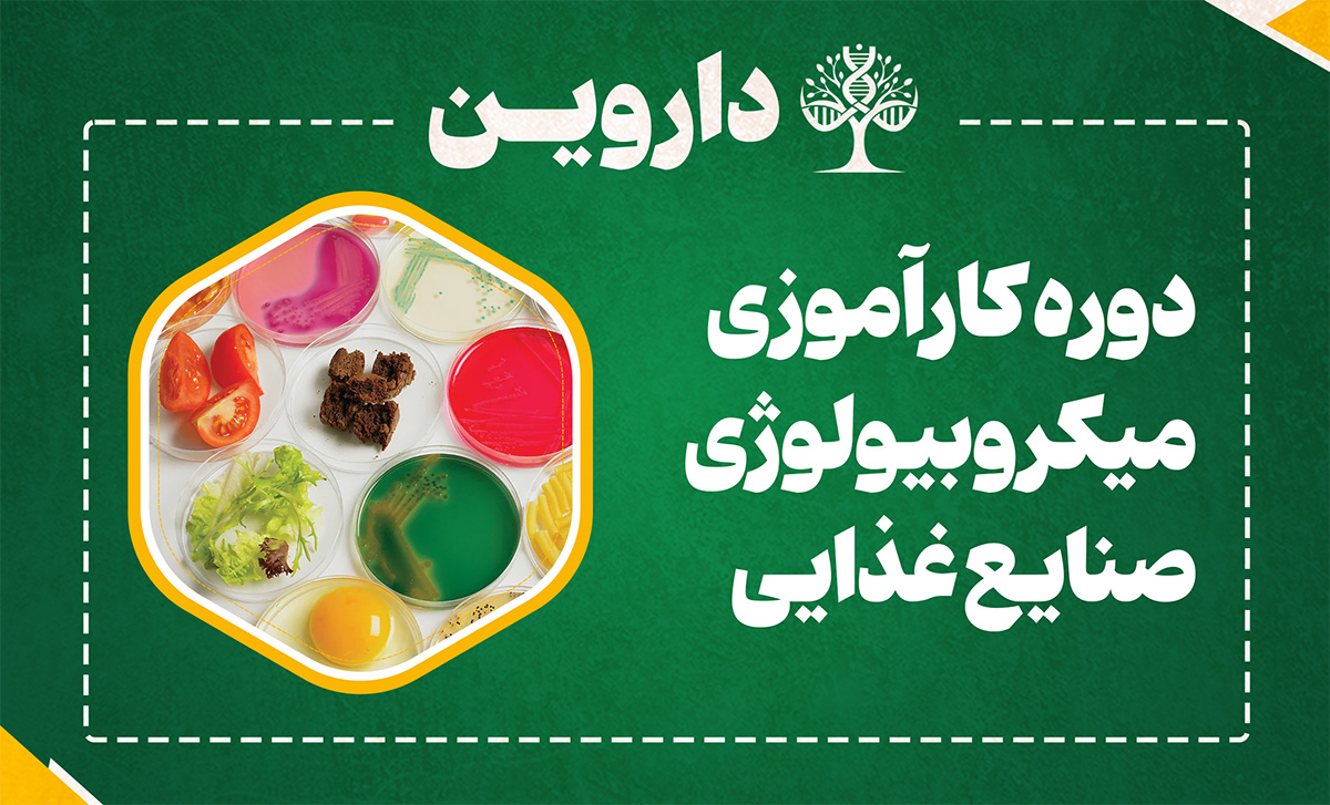 دوره کارآموزی بین المللی میکروبیولوژی صنایع غذایی