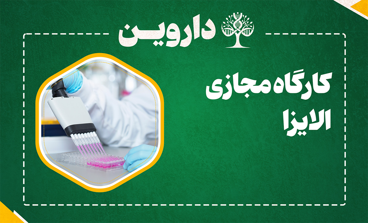 الایزا