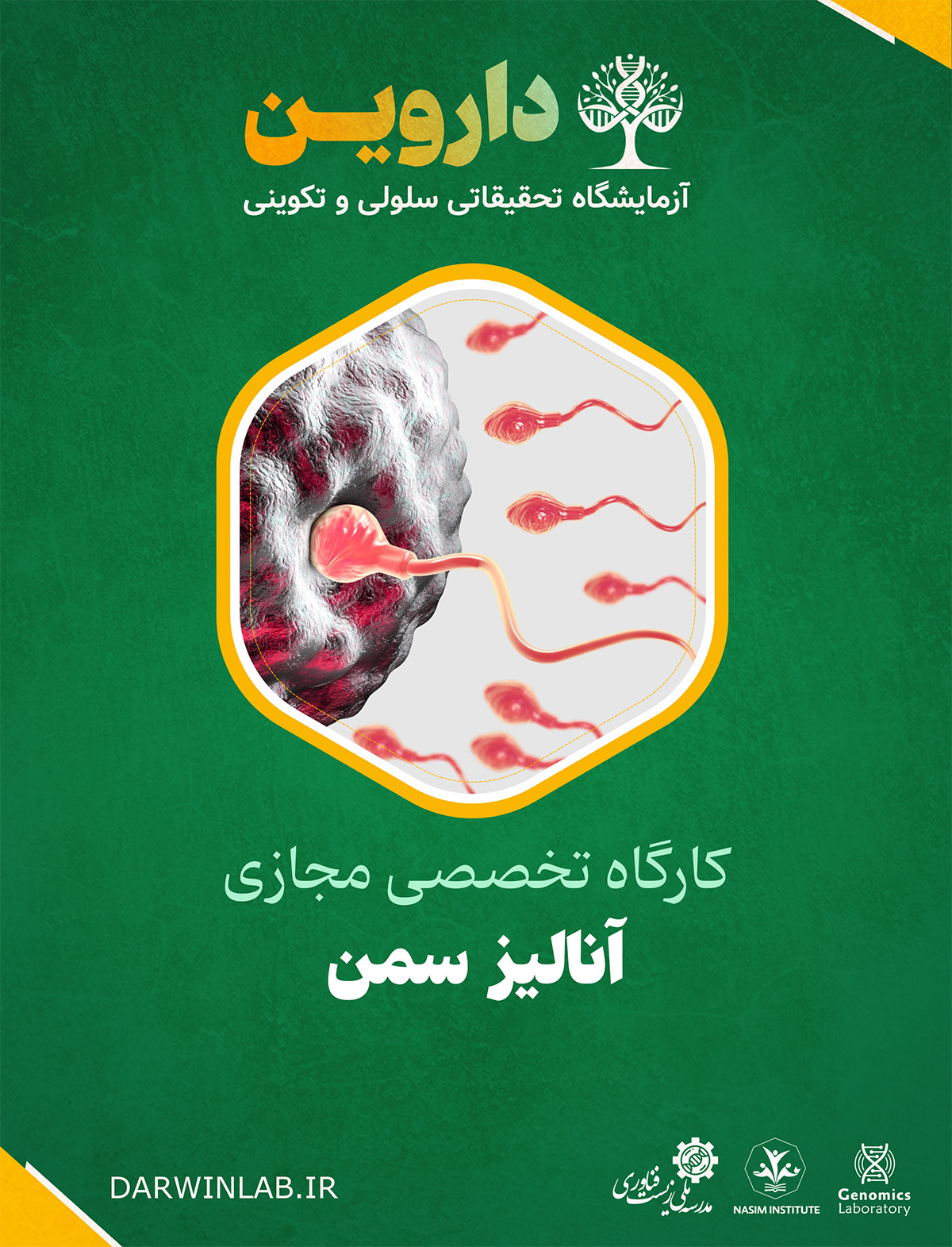 آنالیز سمن