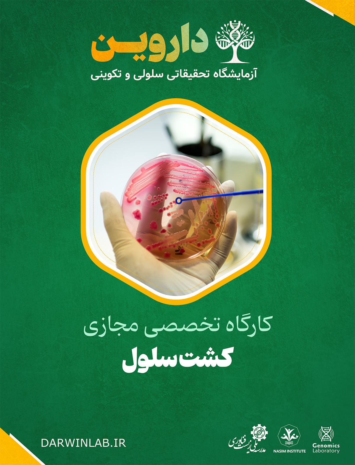 کشت سلول