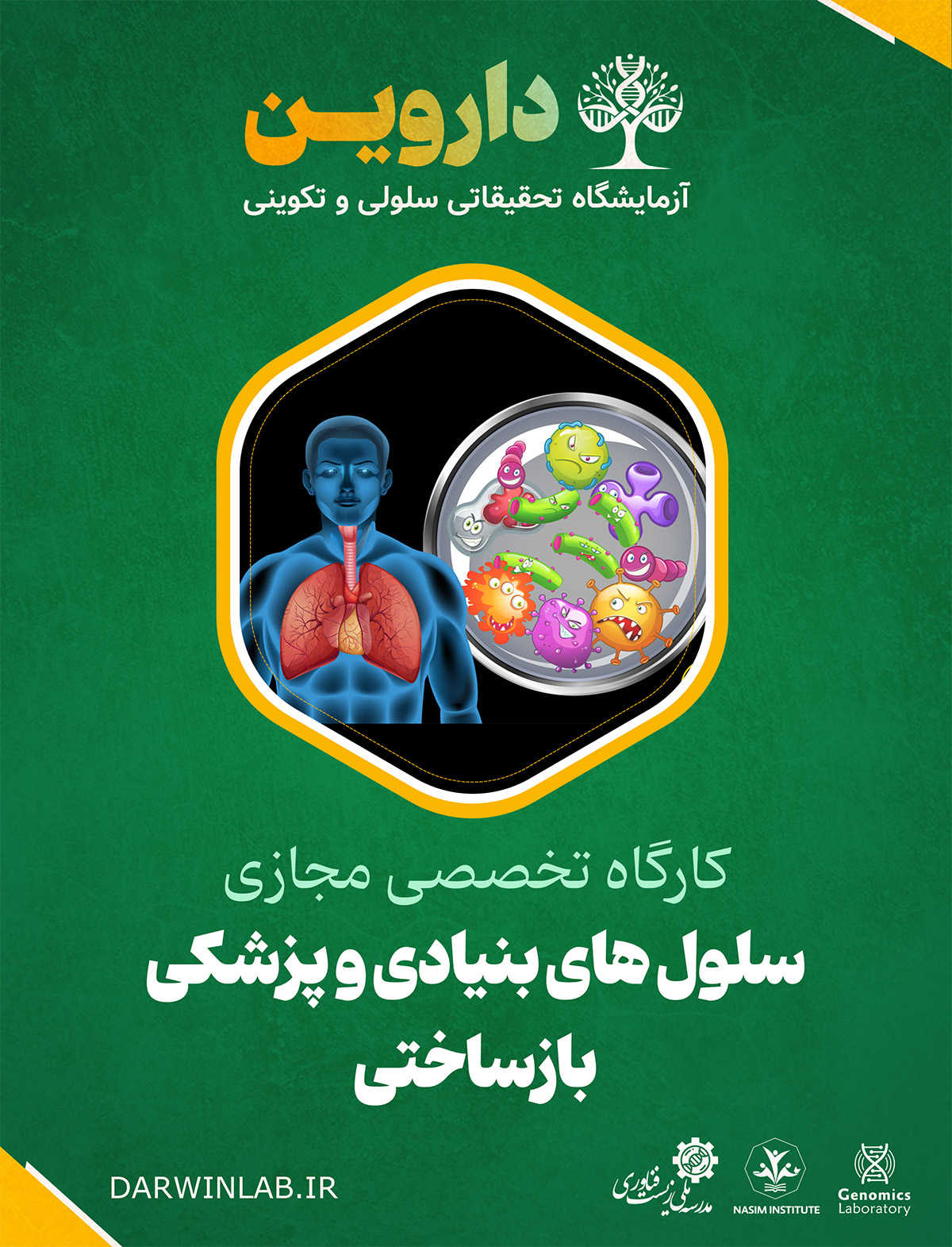 سیستم فاژی 