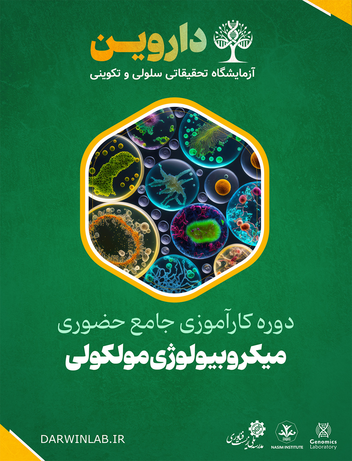 دوره کارآموزی بین المللی میکروبیولوژی مولکولی  (کارگاه حضوری)