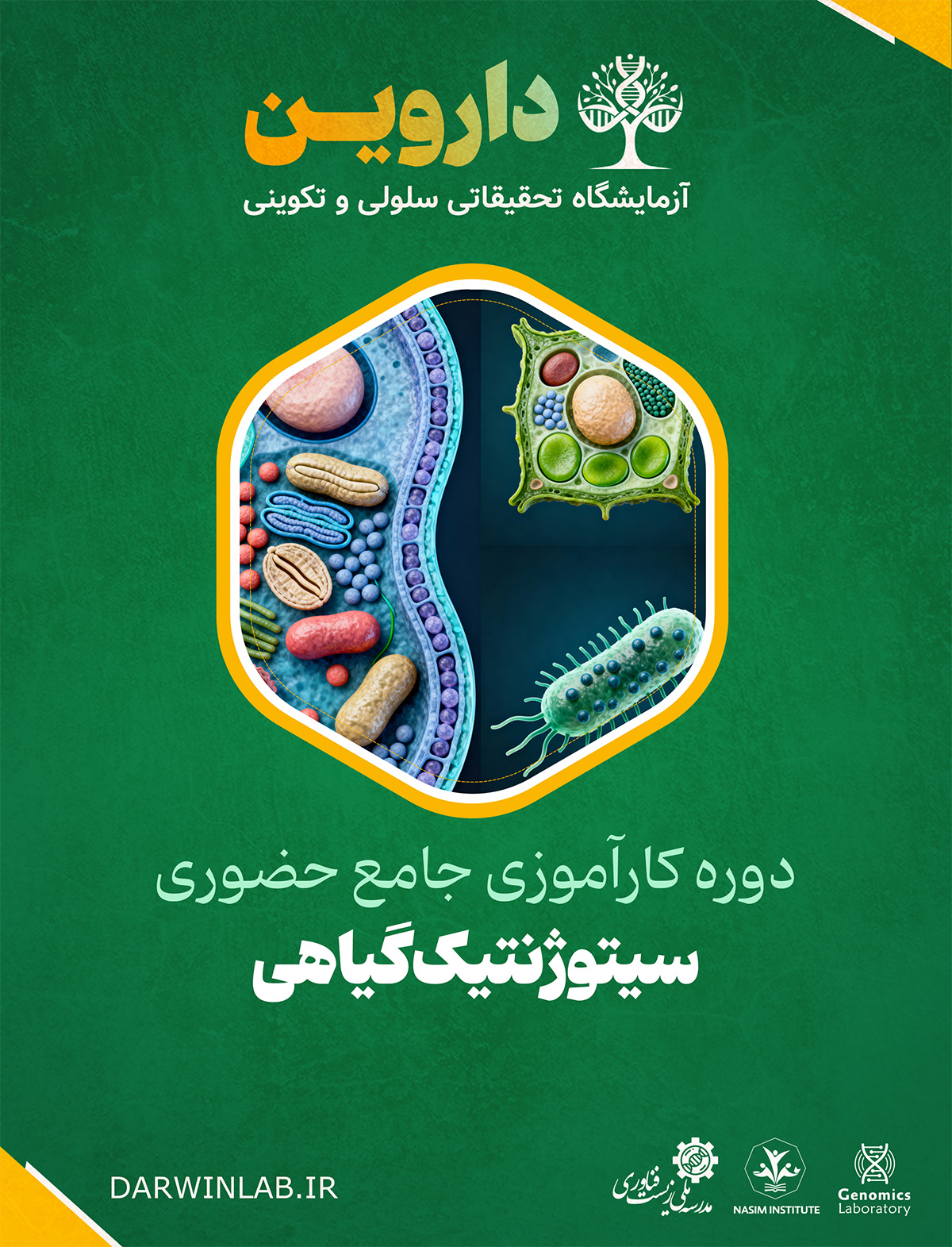 دوره کارآموزی بین المللی سیتوژنتیک گیاهی (کارگاه حضوری)