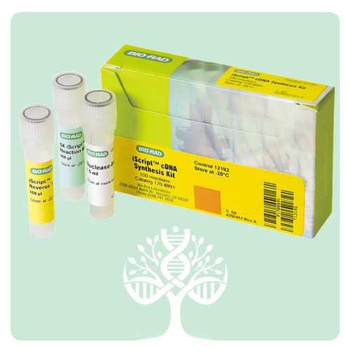 کیت استخراج RNA از بافت (Column-Based)